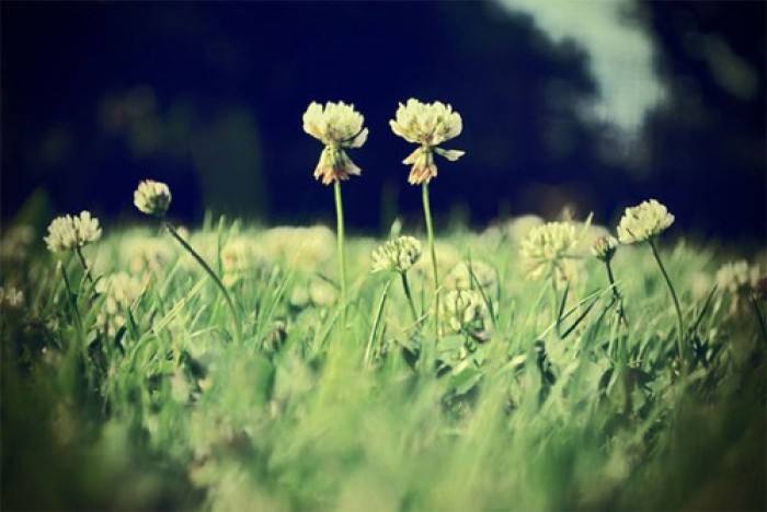 这是第一个图片说明