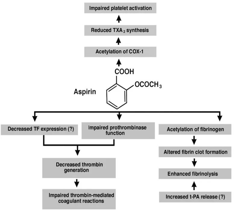 每天一片阿司匹林，身体扛得住吗？不是所有人都需要吃，警惕过度治疗！ onerror=