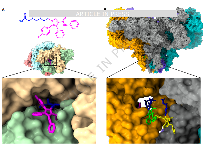 吃他汀肌肉痛真相曝光，不是辅酶Q10的问题！Nature最新：这3种他汀，更容易引发肌肉副作用 onerror=