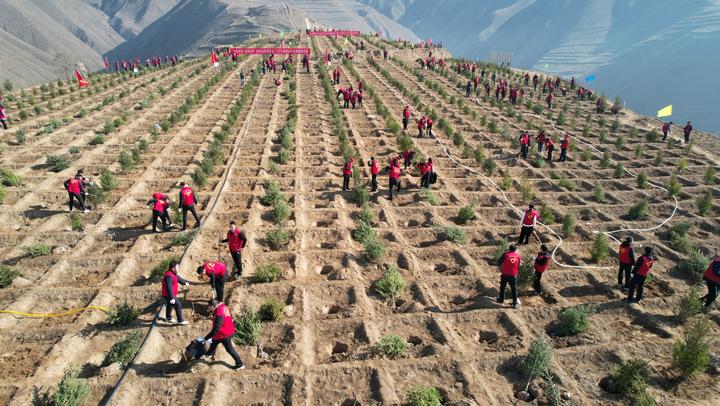 去年绿化1亿亩！我国成全球增绿最快最多的国家，森林覆盖率超25% onerror=