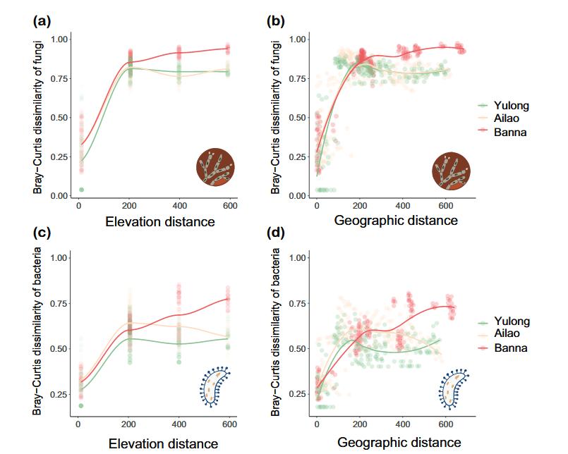 热带生物可能比你更怕热！真相可能藏在“简森山口假说” onerror=