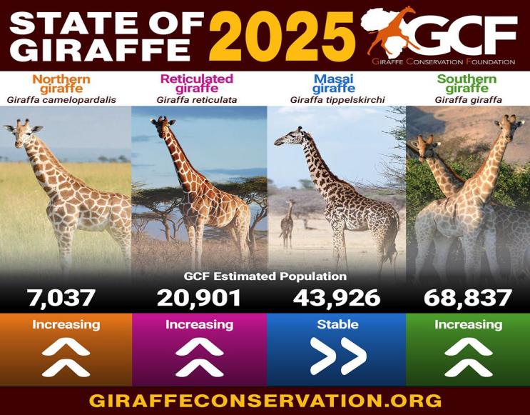 长颈鹿有四种？如何从1到4，解开物种分化的谜题 onerror=