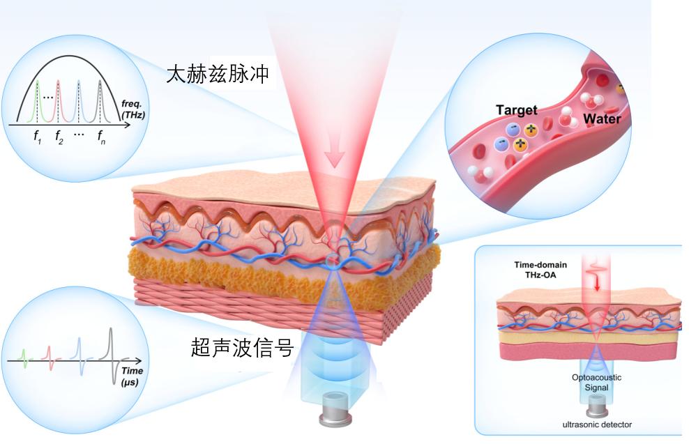不扎针不抽血，未来验血只需“一束光”？ onerror=