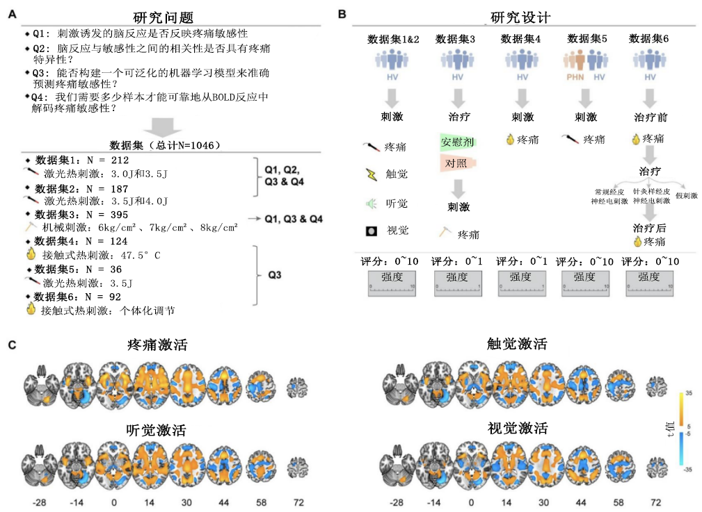 说不清有多“疼”？现在能测量了！科学家给疼痛敏感性装上“刻度尺” onerror=