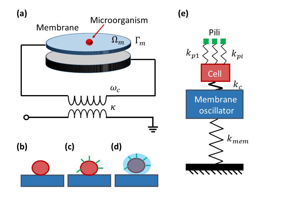 时间循环、意识传输、平行宇宙……这些科幻作品中的设定真的存在吗？ onerror=