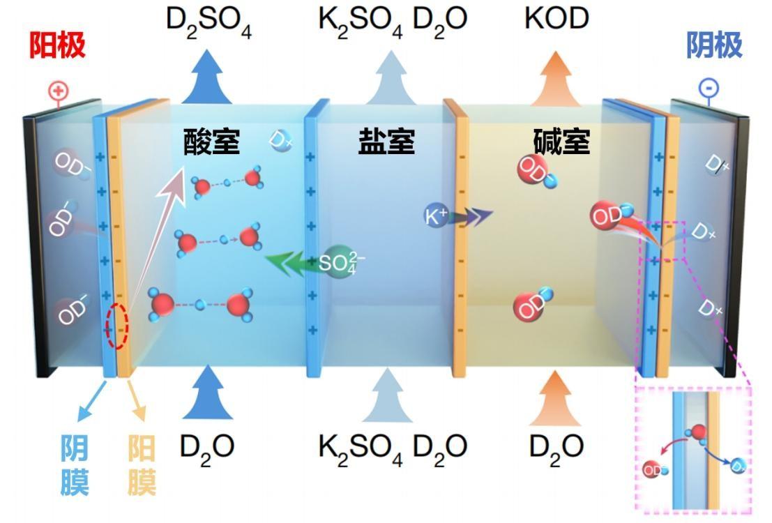 用“膜”力破解世界难题！科学家实现氘代技术革新，成本直降80% onerror=