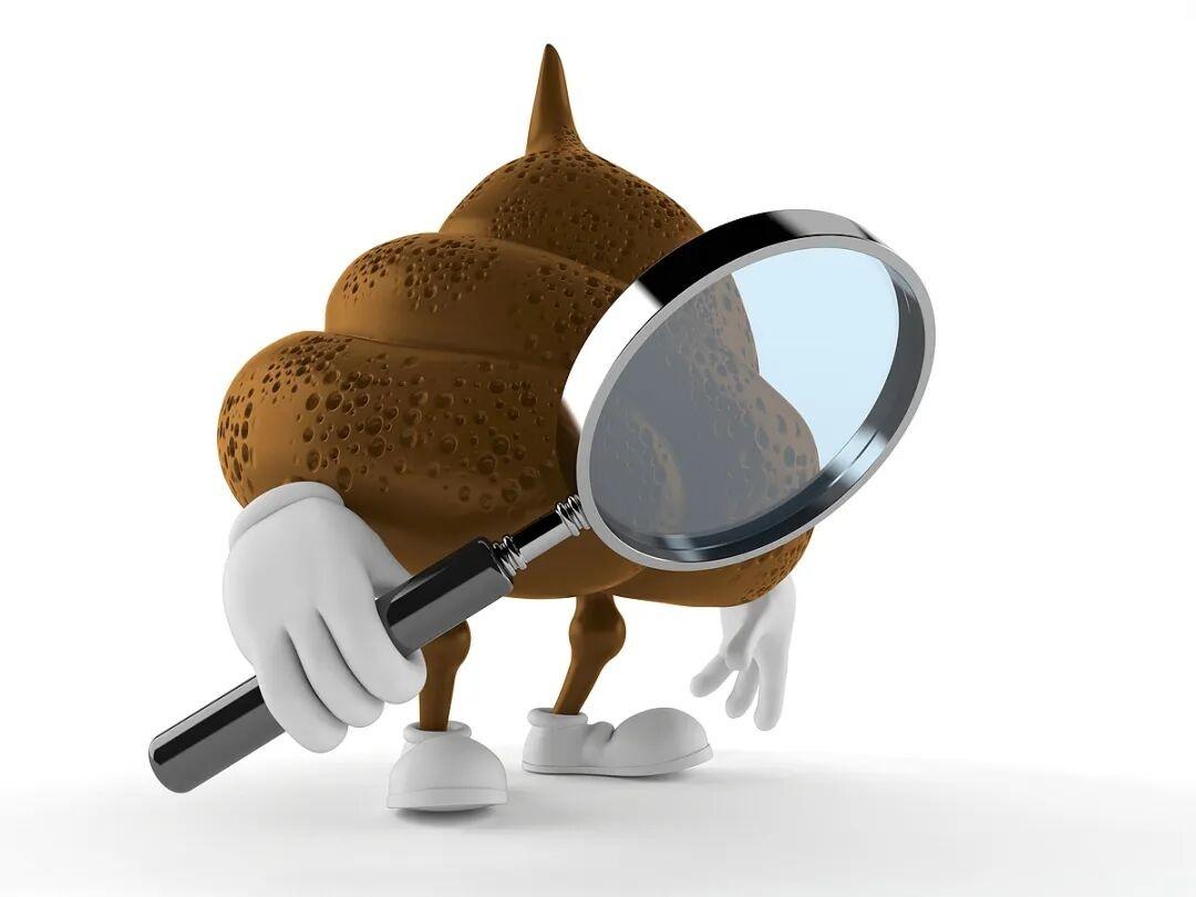 是时候为你身体里的屎尿屁正名了！ onerror=