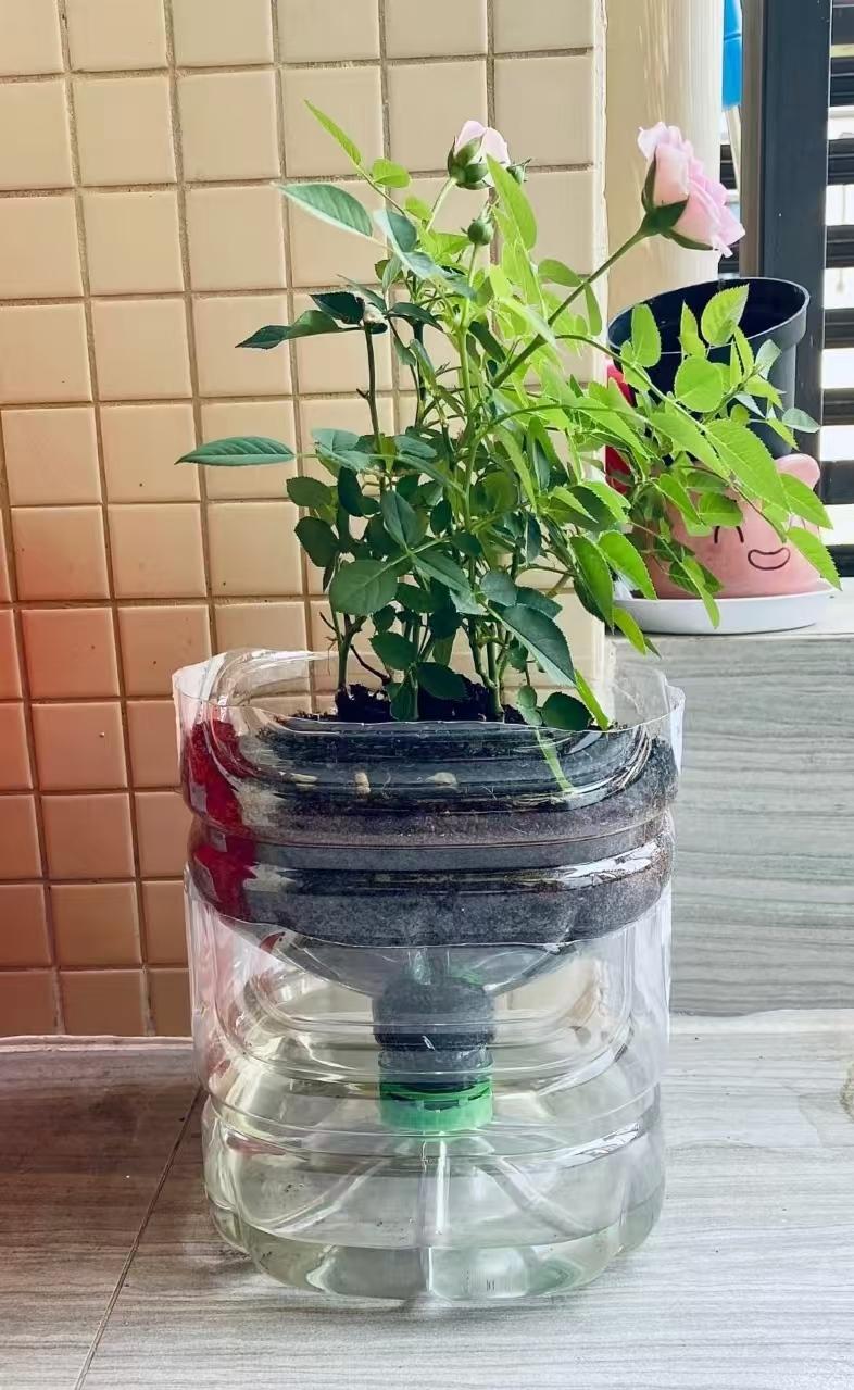 消费复盘：我发现很多东西根本就不用买，也不会降低生活水平 onerror=