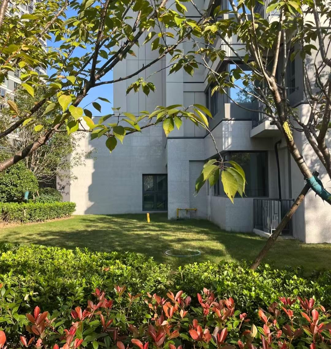 父母不顾反对买了“一楼带院子”的房子，入住两年，悔的肠子都青了